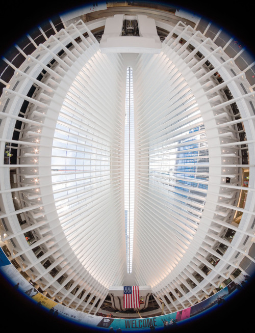 archatlas:World Trade Center Transportation Hub Santiago CalatravaCalatrava’s first major design dec