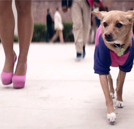 grandeariana: Ariana and Toulouse in thank u, next (2018)
