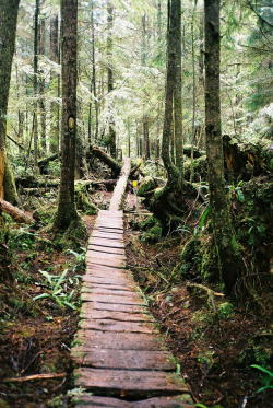 travelingcolors:  Boardwalk, Cullite Creek | Canada (by Ben D. Johnson)