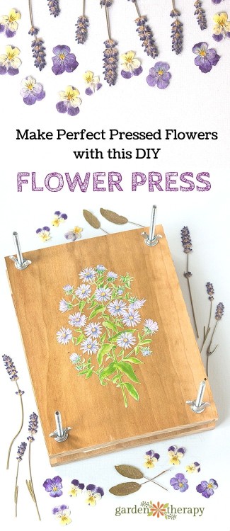 DIY Flower PressWith warm weather quickly approaching, make a DIY Flower Press using pieces of wood 