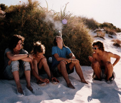 silky-sand:  goodhealthgoodvibes:  toxic-ponies:  nicole-brannen:   “They’re these barefoot, good-looking Western Australians that play cool music.”— Andrew VanWyngarden describing Tame Impala   ohhhhhhhhh my god  Fuck man  I love Tame Impala