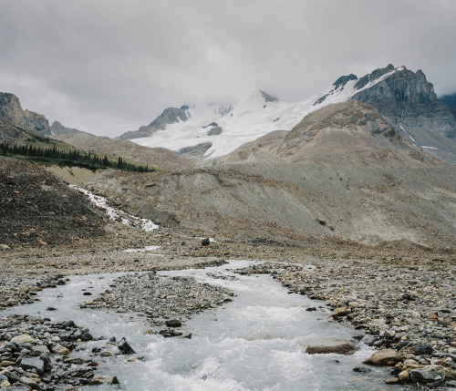 icefields