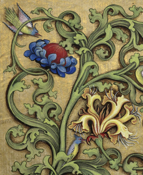 discardingimages: birds among the greenery Hours of Charles of Angoulême, France ca. 1475-1500 BnF, 