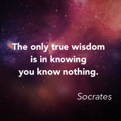 The only true wisdom is in knowing you know nothing. Socrates