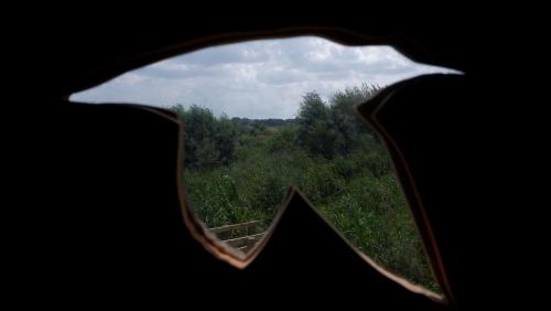 Birds Eye View. Bird Hide at Wheldrake Ings, North Yorkshire, England.If I try these again I will ta