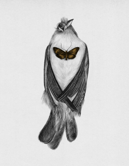 lohrien:  Illustrations by Peony Yip tumblr l society6