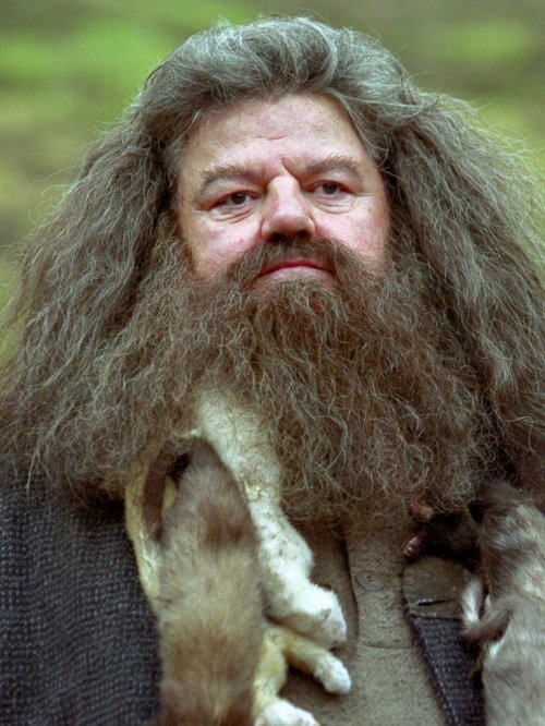 I Am Gutted To Hear That Robbie Has Died Hagrid Was My Favourite Character And Robbie Took Him And Made