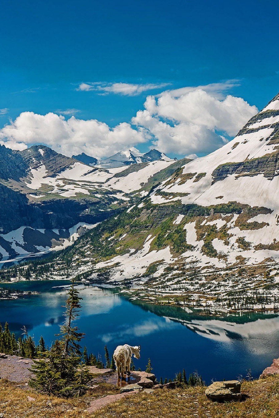 sublim-ature:
“Hidden Lake, Montana
Kristin Castenschiold
”