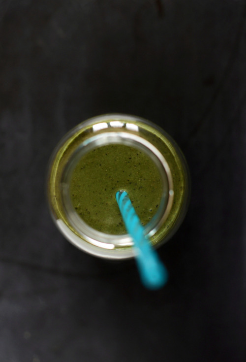 alloftheveganfood:  Vegan Green Smoothie Round Up My Favorite Green Smoothie (GF) Apple Pie Smoothie (GF, raw, SF) Vegan Mint Chip Smoothie Kiwi Pineapple Mint Green Smoothie Peach Avocado Green Smoothie Vegan Mango-Coconut Green Smoothie Refreshing Green