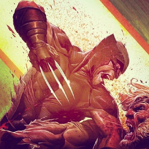 ripshot007:  #wolverine #sabertooth #xmen #comicbooks #marvelcomics