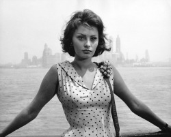 lastfamous:   Sophia Loren. That Kind Of