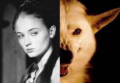 arthurdarvvill:  game of thrones meme: five houses [2/5]  ➤ House Stark  When