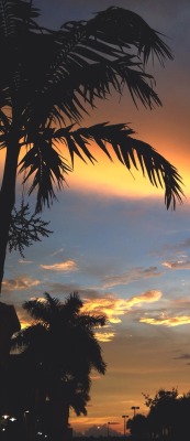 hey-im-scott:A golden Florida sunset