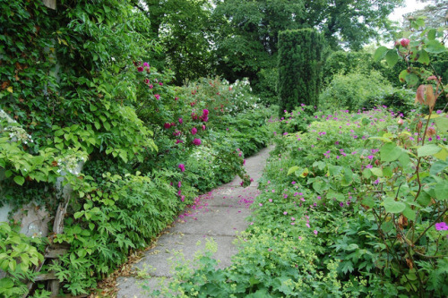 How about some credit!Photo: Noel Kingsbury, a gardener and blogger.The garden itself: Bryan’s