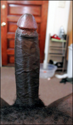 Can I please ride this big black cock??