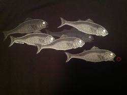 The back of my TOOL fish shirt. Artwork by