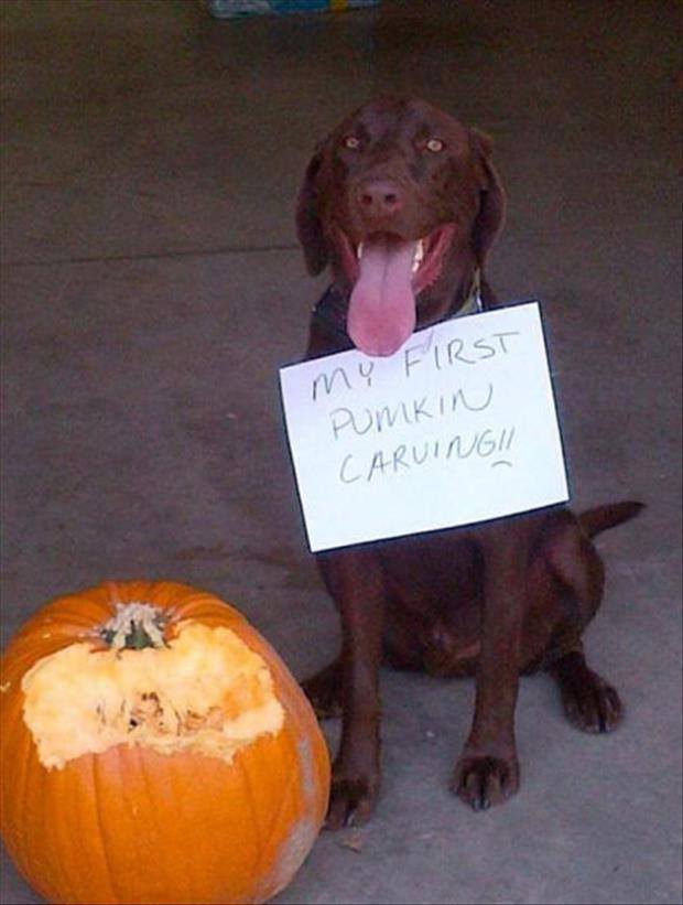 A for effort