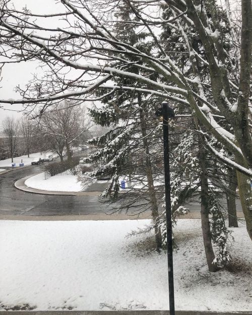 #snow #trees #hamilton #canada #ontario #can’tbelieveit’salmostaprilanditsnowedagainhttps://www.inst