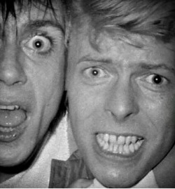 icky-pop:  Iggy Pop & David Bowie