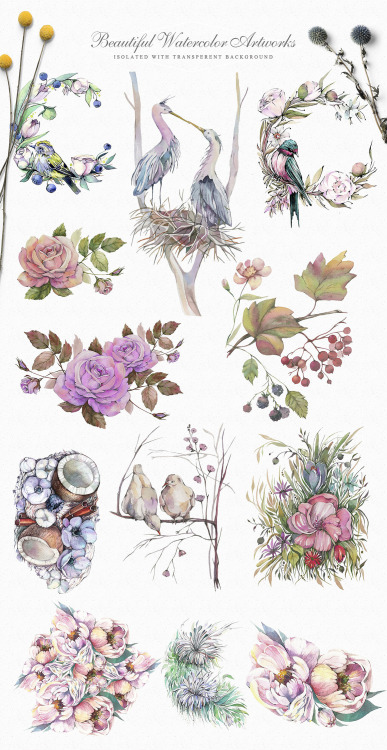 Spring Garden Watercolor Collection by NassyArtsee this week’s cu freebies