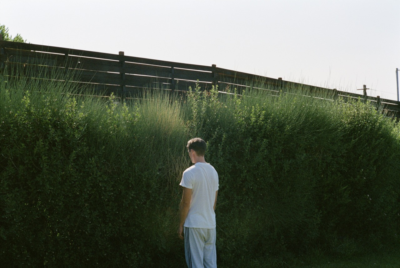 speakingparts:  Kynodontas (Dogtooth)2009 Yorgos Lanthimos 