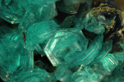 bijoux-et-mineraux:  Chalcophyllite - Piesky, Spania Dolina, Banska Bystrica Reigon, Slovakia 