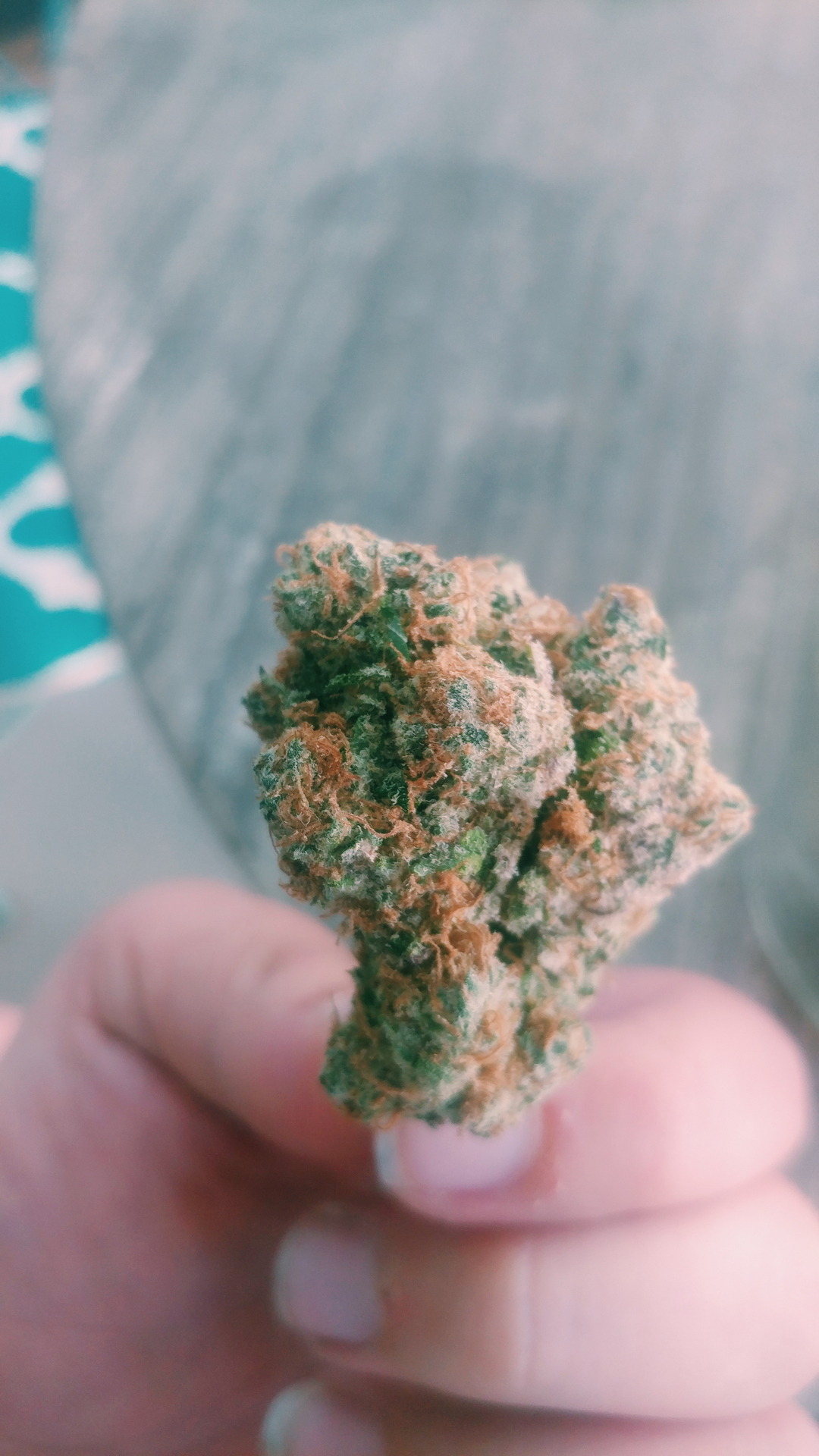 rubsta:  I just wanna roll this into a blunt with you 4.10.18.