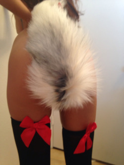 Tail plugs and fox tails