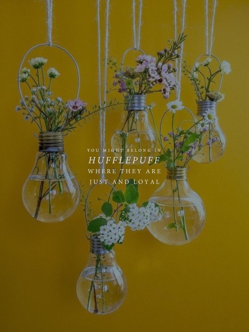 Hogwart House: Hufflepuff