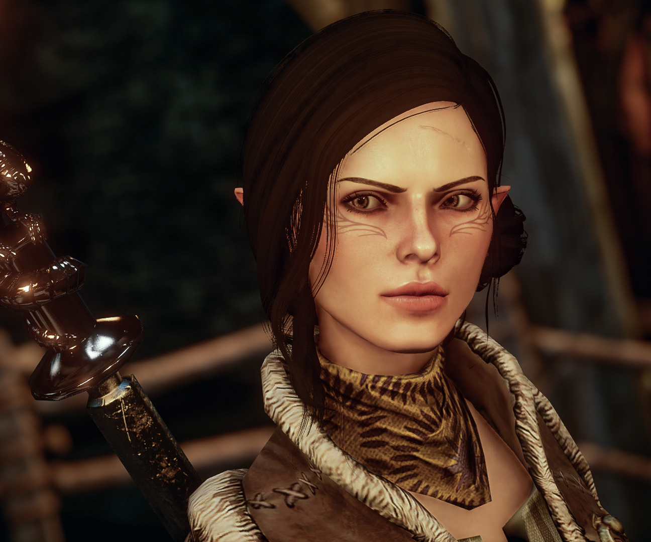 dragon age inquisition female elf sliders no mods dragon age inquisition female elf sliders no mods