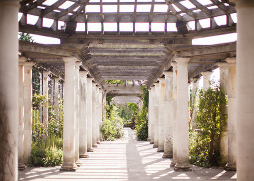 arunaea: The Secret Garden by Carrie WishWishWish on Flickr.