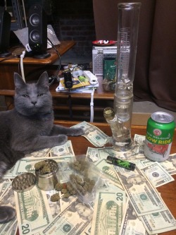 higheramerica:  Pussy, Money, Weed  All I