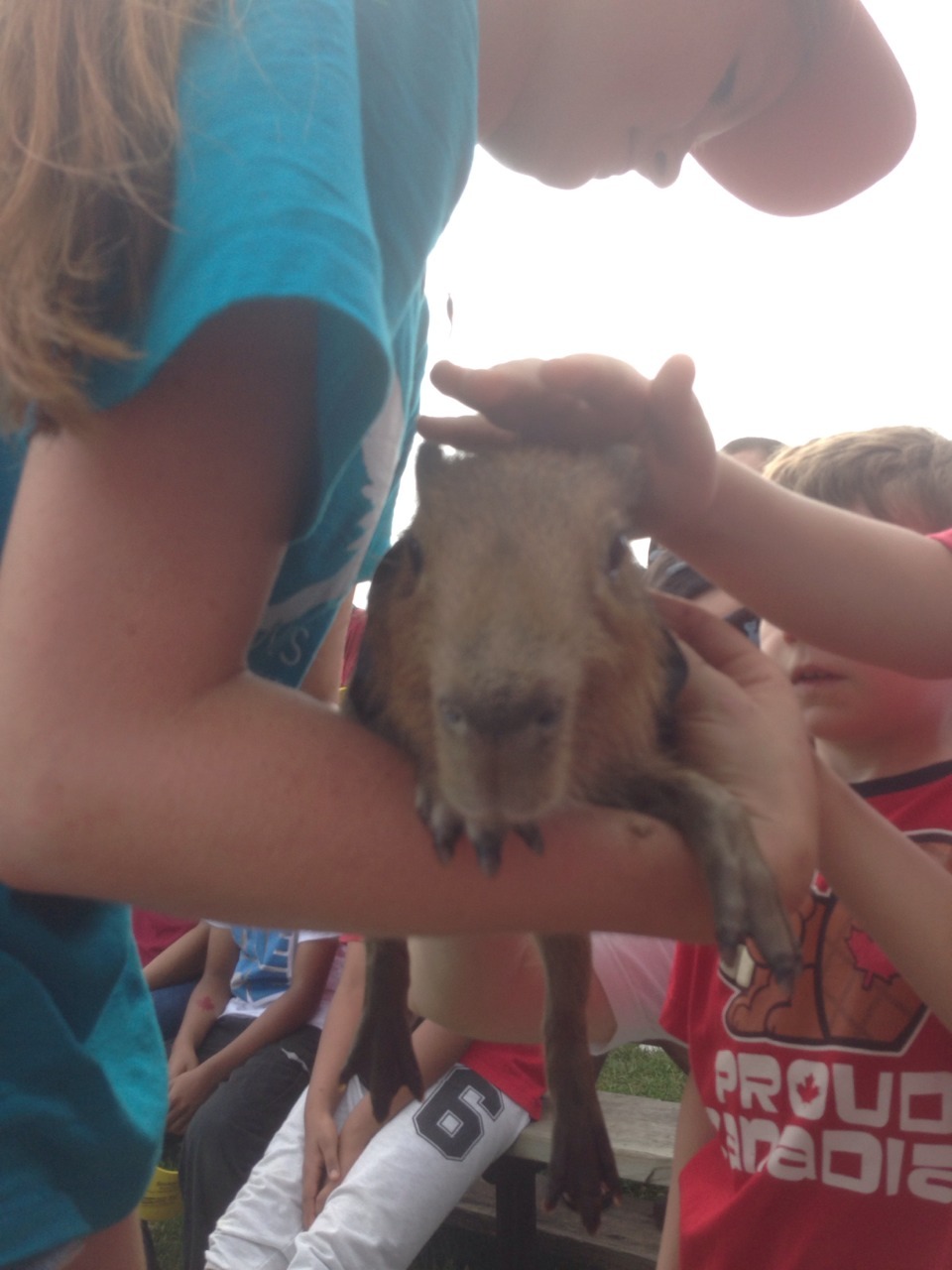 hi!! so yesterday I went to my town fair and I&rsquo;m still really excited (lame