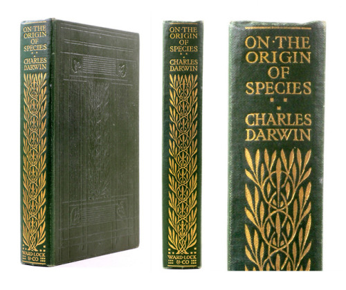On the origin of Species - Charles DarwinLondon Ward Lock &amp; Co Limited 1910Decorative endpap