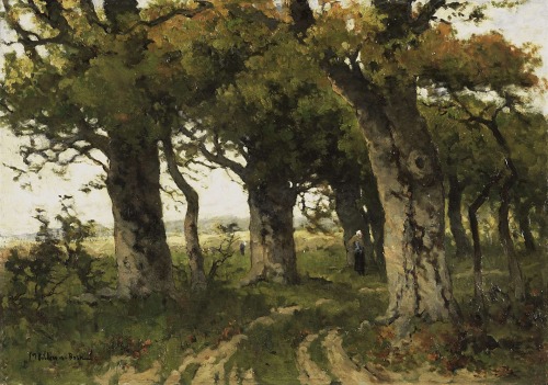Avenue of Oaks in Late Summer   -    Maria Bilders-van Bosse, 1880-1900Dutch, 1837-1900  oil on canv