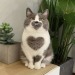 Porn Pics xeptum:heart cat !!!