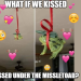 dankmemeuniversity: