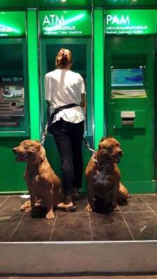 theinturnetexplorer:  “Are you going to be ok going to the ATM at night?”…Yes