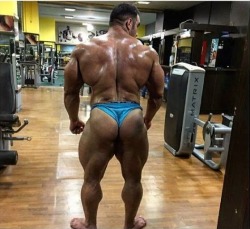 needsize:  Best hamstring motivation around. Goals!Ayat Bagheri