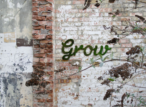 GROW / Anna GarforthA self initiated project, searching for hidden, wild spaces around London. This 