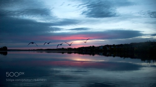 Vol de matin by Andre_Villeneuve