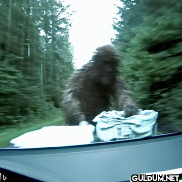 Dashcam footage of...