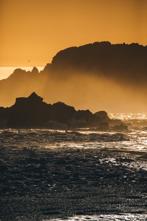 The beauty of Newfoundland and Labrador - may 2019