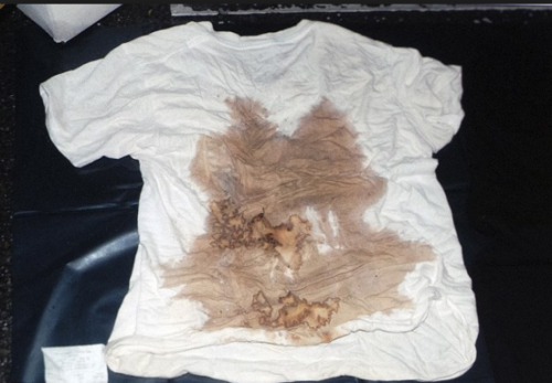 prisonloveletters:dylannlanza:sociopathic-compulsions:A bloody shirt disposed of by Luka Magnotta in
