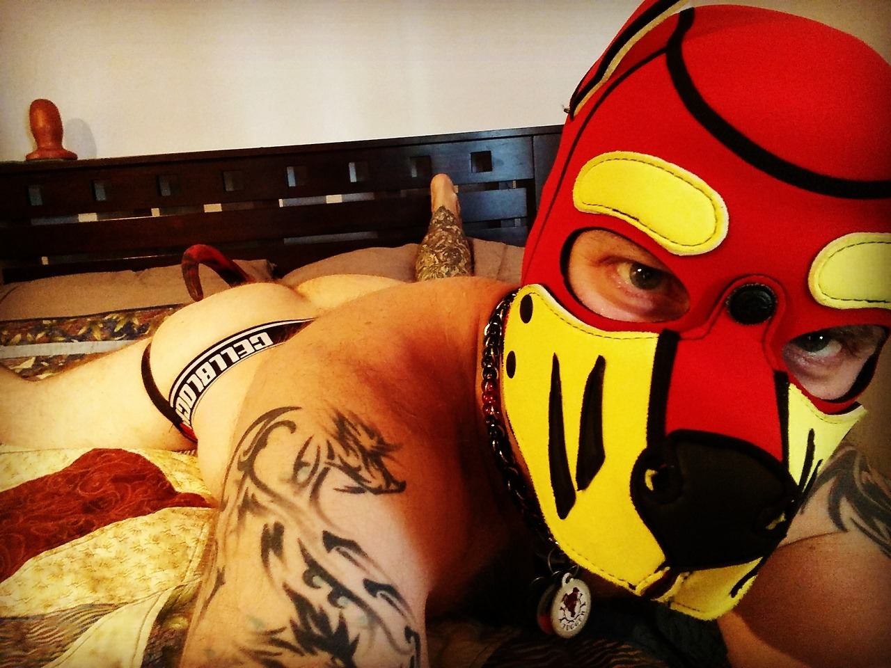 tuggerpup:Liking the large tail plug.
