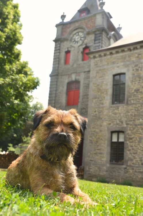 Château-Fort d'Ecaussinnes Lalaing