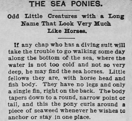 yesterdaysprint:Great Bend Tribune, Kansas, December 10, 1904