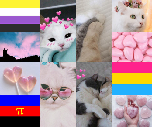 Pan/nb/polyam moodboard with heart and cat themes for anon -mod mylo