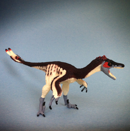 Velociraptor, Carnegie Collection, Safari Ltd., 2015 ID 410201. Feet tweaked to produce bipedal posi