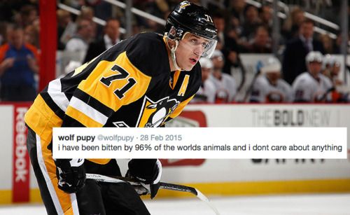 Pittsburgh Penguins + Wolf Pupy
